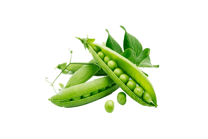 Snow Peas