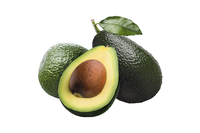 Avocado